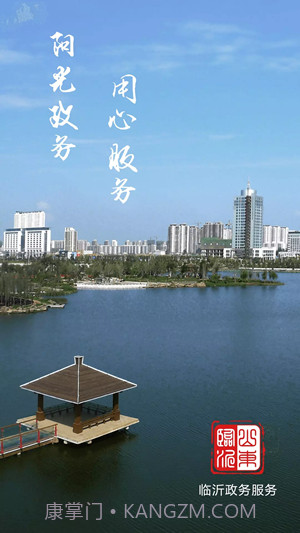 临沂政务服务1.6截图