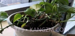 激发你的灵感v1.0.13截图