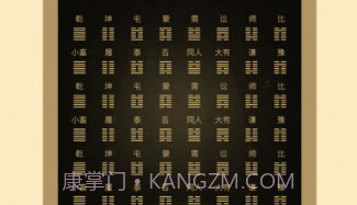 天天易问v1.11截图