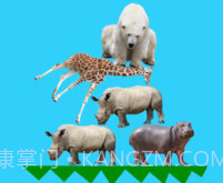 动物叠叠乐v8.19截图