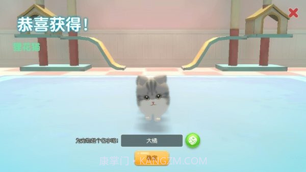 养了个猫无广告版最新1.4.10截图