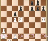 国际象棋城堡v0.1.17截图