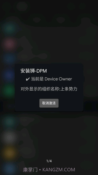安装狮DPM1.2截图