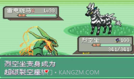 口袋妖怪绿宝石金手指v2021.01.14.16截图