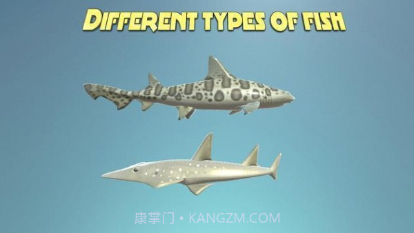 真正的鲨鱼模拟器1.18截图
