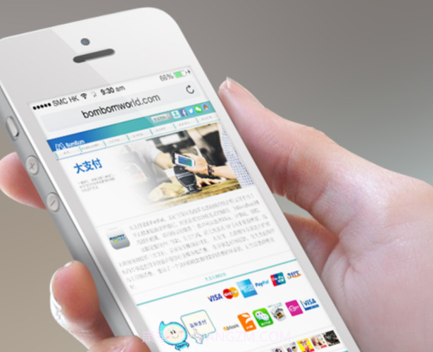 BigPayv1.18截图