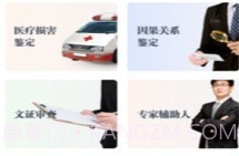 天平咨询V1.0.13截图