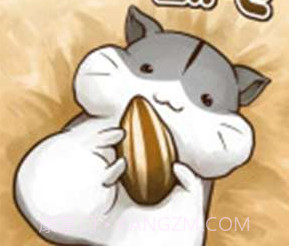 小仓鼠的生活v4.3.16截图