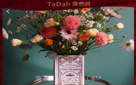 洋芋买买v0.0.20截图