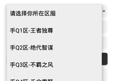 王者任意充值v2.17截图