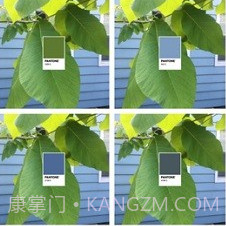 pantonev1.7.18截图