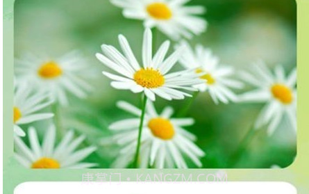 认识植物v1.25截图