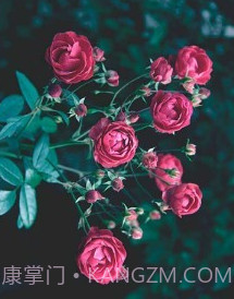 易压缩v1.1.16截图