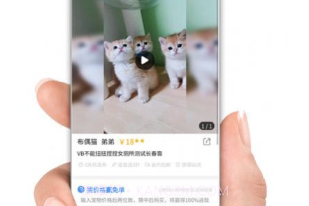 集咪舍宠物会员商城v1.0.17截图