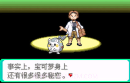 口袋妖怪究极绿宝石5.3v1.19截图