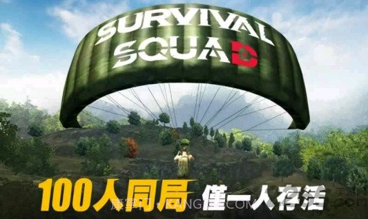 生存小队单机版v1.11.18截图