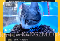 哈啰街猫手机版V1.0.16截图