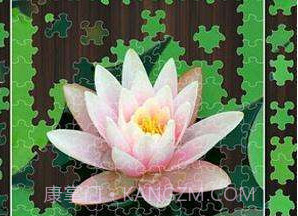 Jigty拼图游戏完整版v3.19截图