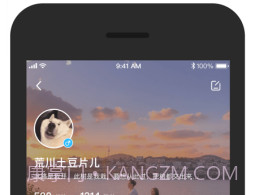 POMEv0.2.14截图