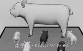 逃脱黑白的世界v1.21截图