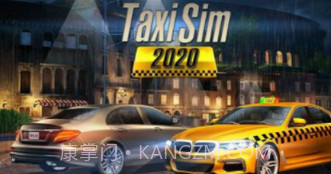 出租车驾驶模拟器v1.0.20截图