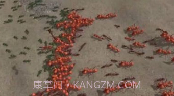 模拟地下蚁国v0.0.1.22截图