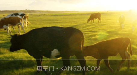 新牛智能v3.23截图