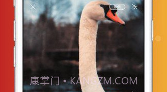 形色识鸟V1.17截图