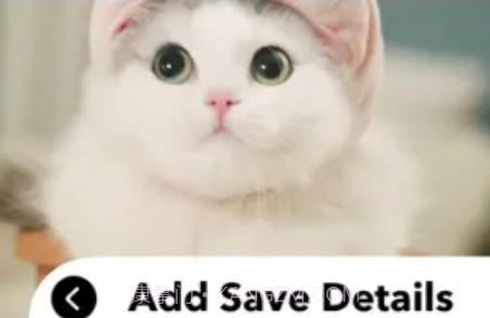 爱猫物语宠物店2023版v3.43.17截图