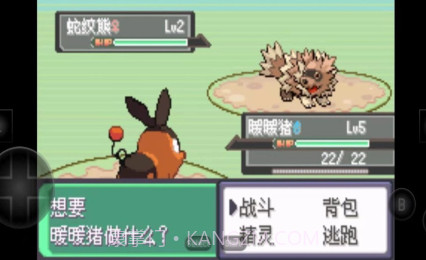 口袋妖怪漆黑的魅影5v1.6.17截图