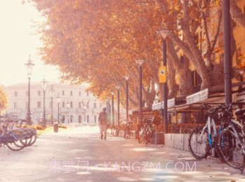 日记云笔记VIP版v6.4.21截图