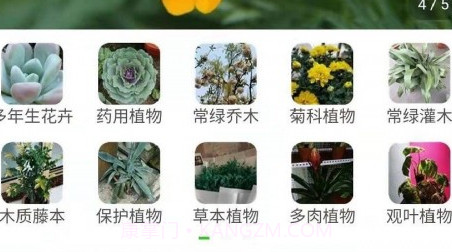 行色识花v2.1.24截图