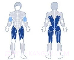 练练健身v23.05.20截图