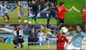 fifa12欧洲杯2012v1.8.22截图