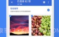 Google文件极客appv1.0.20截图