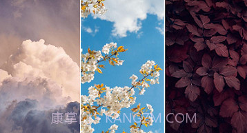 美妙壁纸馆v1.21截图