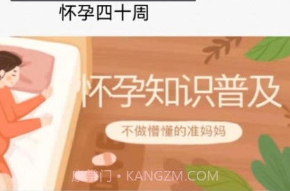 琴宝宝v1.26截图