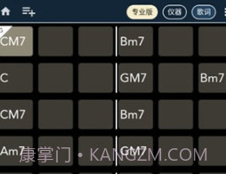 chord ai prov2.4.21截图