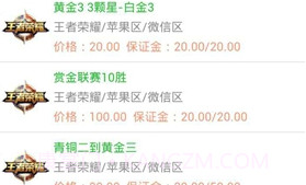 代练宝（冲分平台）V5.5.20截图