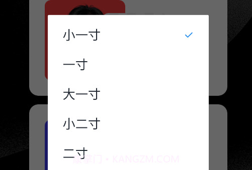 证件照生成millv1.22截图