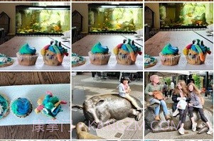 A+相册图库v2.2.69.21截图