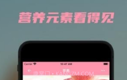 懒猪营养v1.0.26截图