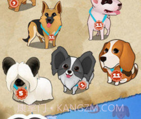 聪明的狗v0.0.27截图