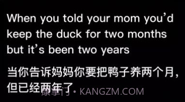 时空壶同传翻译v1.0.21截图