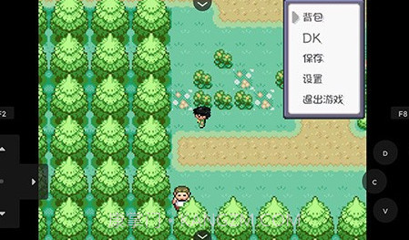 口袋妖怪燃之智v4.0.24截图