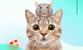 萌萌答v1.0.23截图