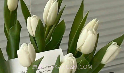 团啊取图v1.0.25截图