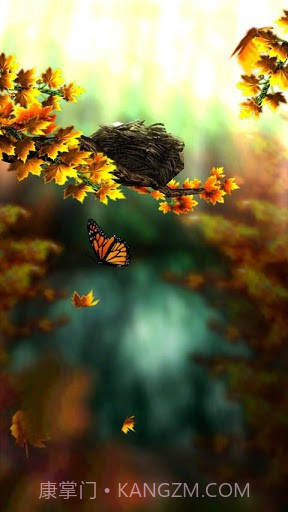 季禅hd截图1 季禅hd截图1