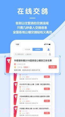 信鸽纵横截图5 信鸽纵横截图5