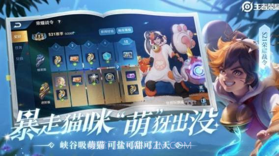 王者荣耀假国标修改器截图3